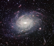 Wide Field Imager view of a Milky Way look-alike NGC  