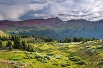Wild meadow in the Rocky Mountains USA 