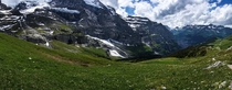 Wildflower season in the Swiss Alps 