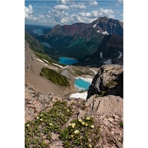 Wildflowers glaciers and Alpine lakes from the vantage point of Grinnell overlook elevation ft in Glacier National Park 