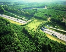 Wildlife bridge located in the Netherlands  Xpost from rPureAwesomeness