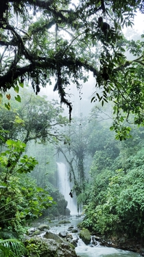 Wildlife preserve in Costa Rica 