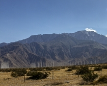 Wind farm at Palm Springs CA 