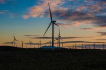 Wind Farm - Highway  California 