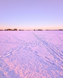 Winter afternoon on a frozen sea in The Outer Archipelago of The Gulf of Finland in Espoo Finland 