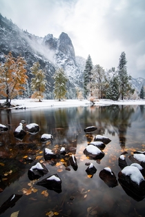 Winter and fall complementing each other this weekend at Yosemite National Park 