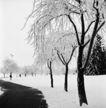 Winter at the Park Lloydminster Alberta Shot on film