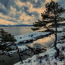 Winter by the seaside Molde Norway 