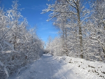 Winter in Blekinge southern Sweden
