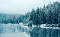 Winter in British Columbia 