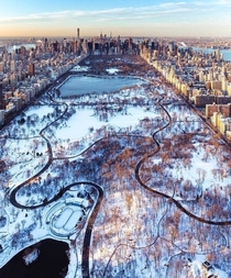 Winter in Central Park NYC USA 