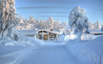 Winter in Finland 