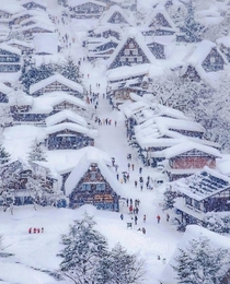 Winter in Japan by halkun