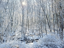 Winter in Massachusetts USA 