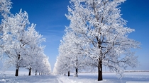 Winter in Serbia Northern Serbia 