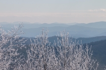Winter in the Blue Ridge Mountains 