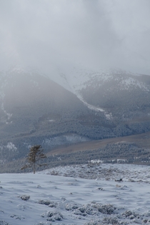 Winter in the Colorado Rockies 