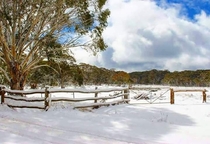 Winter in the Victorian High Country