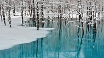 Winter Lake 