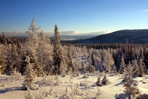 Winter landscape in re Sweden 