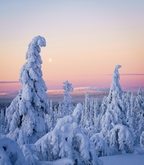 Winter landscape Northern Finland 