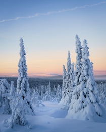 Winter landscape Northern Finland 