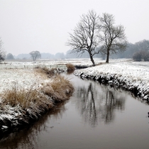 Winter near Balloo Netherlands 
