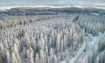Winter near Kuopio Finland  photo by Teemu Kalliolahti