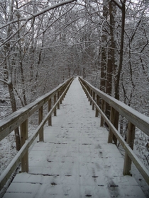 Winter path 
