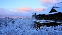 Winter sunrise in Kyoto Japan 