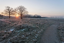 Winter sunrise in Olst the Netherlands 