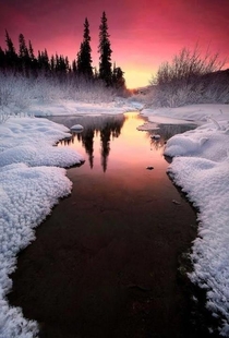 Winter sunset in Alaska 