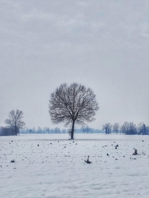 Winter time at Po Valley Italy 