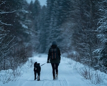 Winter wonder land in Sweden