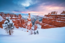 Winter wonderland in Bryce Canyon in Utah 