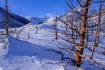 Winter wonderland in Waterton Lakes National Park Alberta  thecraigschultz