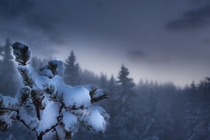 Winter wonderland Norway 