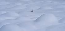 Winters Solitude Banff Canada 