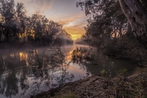 Winters sunrise on Goulburn River Victoria Australia 