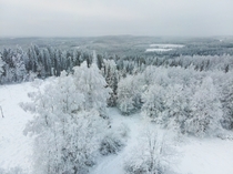 Winters throne on the hills of Central Finland 