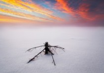 Winterscape by Pawel Uchorczak 