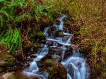 Wispy Streams Moulton Falls WA 