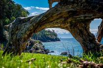 Wooden Archway San Juan Island Washington 