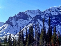 Wrangell Saint Elias Mountains