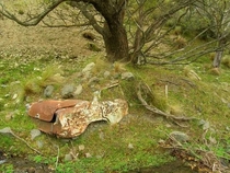 Wrecked car at the base of a brook in New Zealand Photo by Marina Haupt 