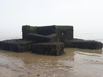 WW Pilbox washed up on beach