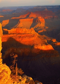 Yavapai Point Grand Canyon 