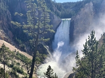 Yellowstone falls 