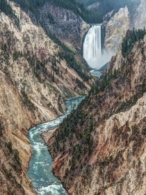 Yellowstone Falls 