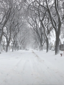 Yes its -C outside but winter makes the city look so calm and beautiful Manitoba Canada